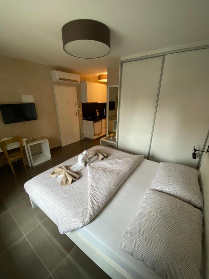 Villa Jessica Novigrad  Bagian luar foto